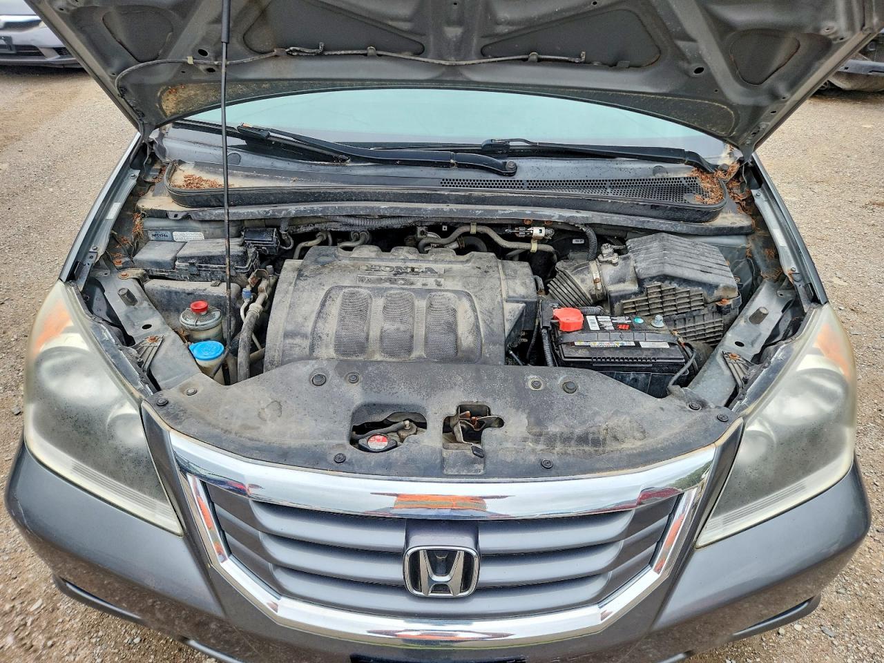 2010 Honda Odyssey Ex Gray vin: 5FNRL3H59AB501794
