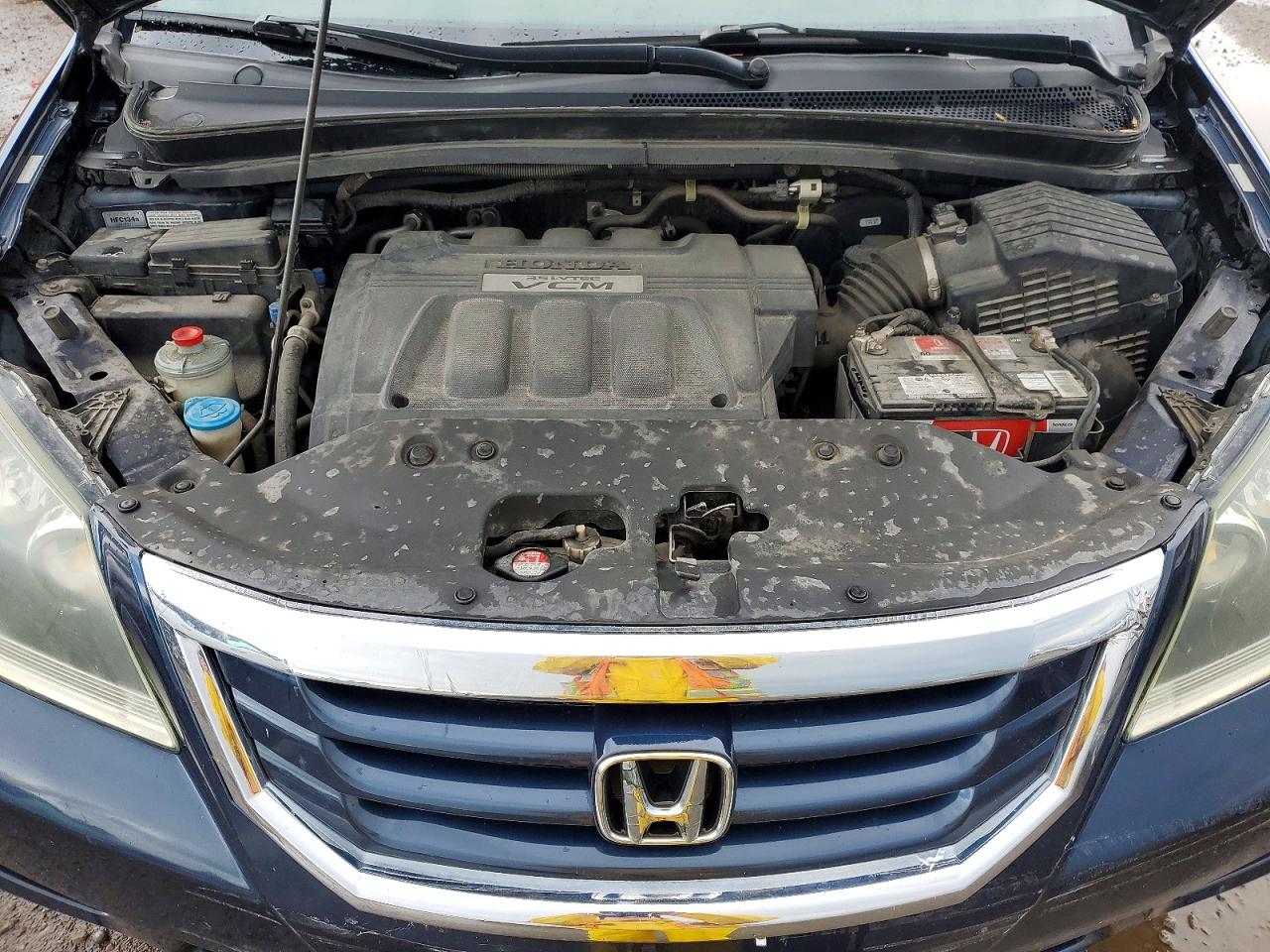 2010 Honda Odyssey Exl Blue vin: 5FNRL3H60AB503409
