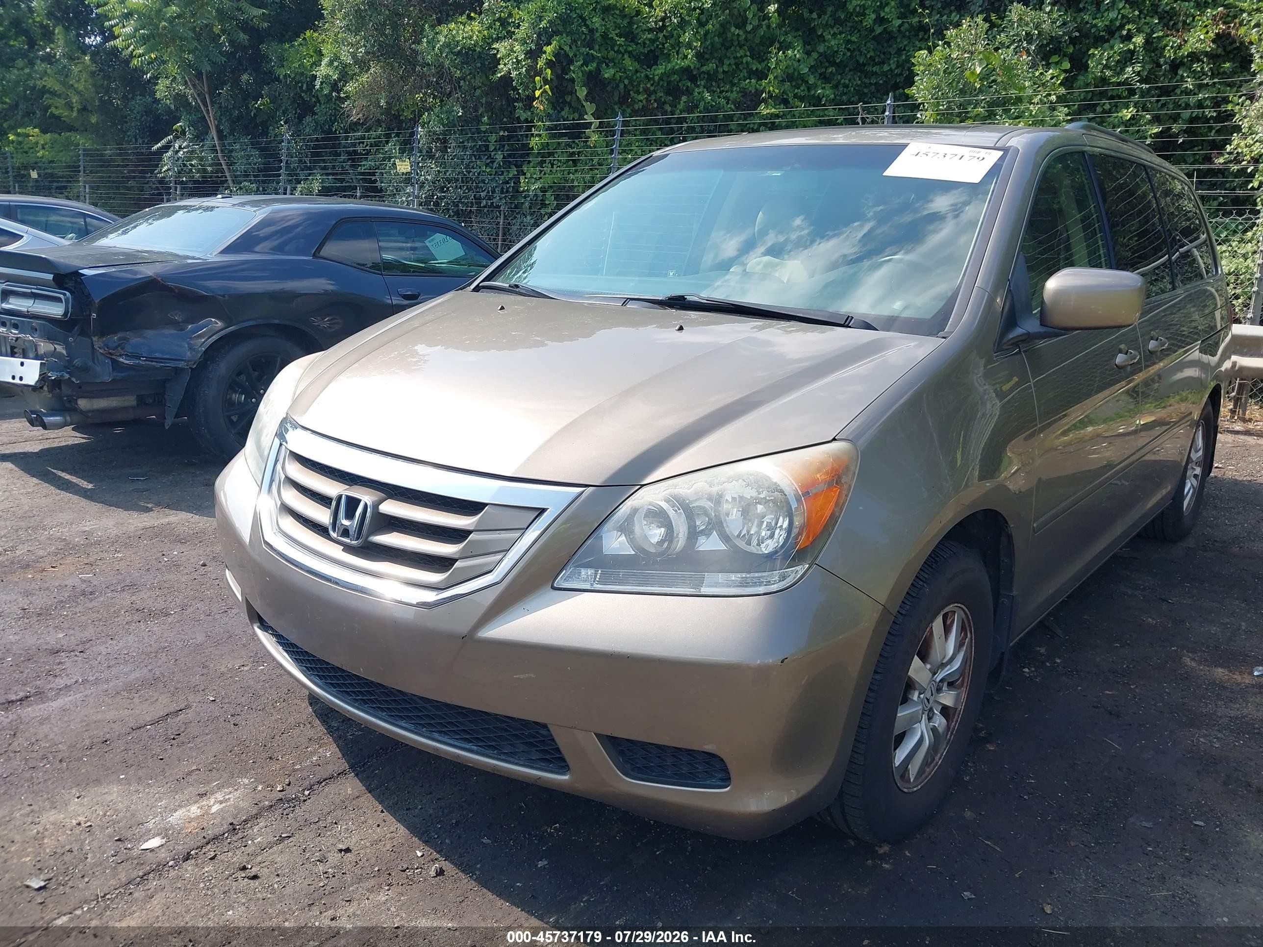 2010 Honda Odyssey Ex-l Золотой vin: 5FNRL3H61AB074538