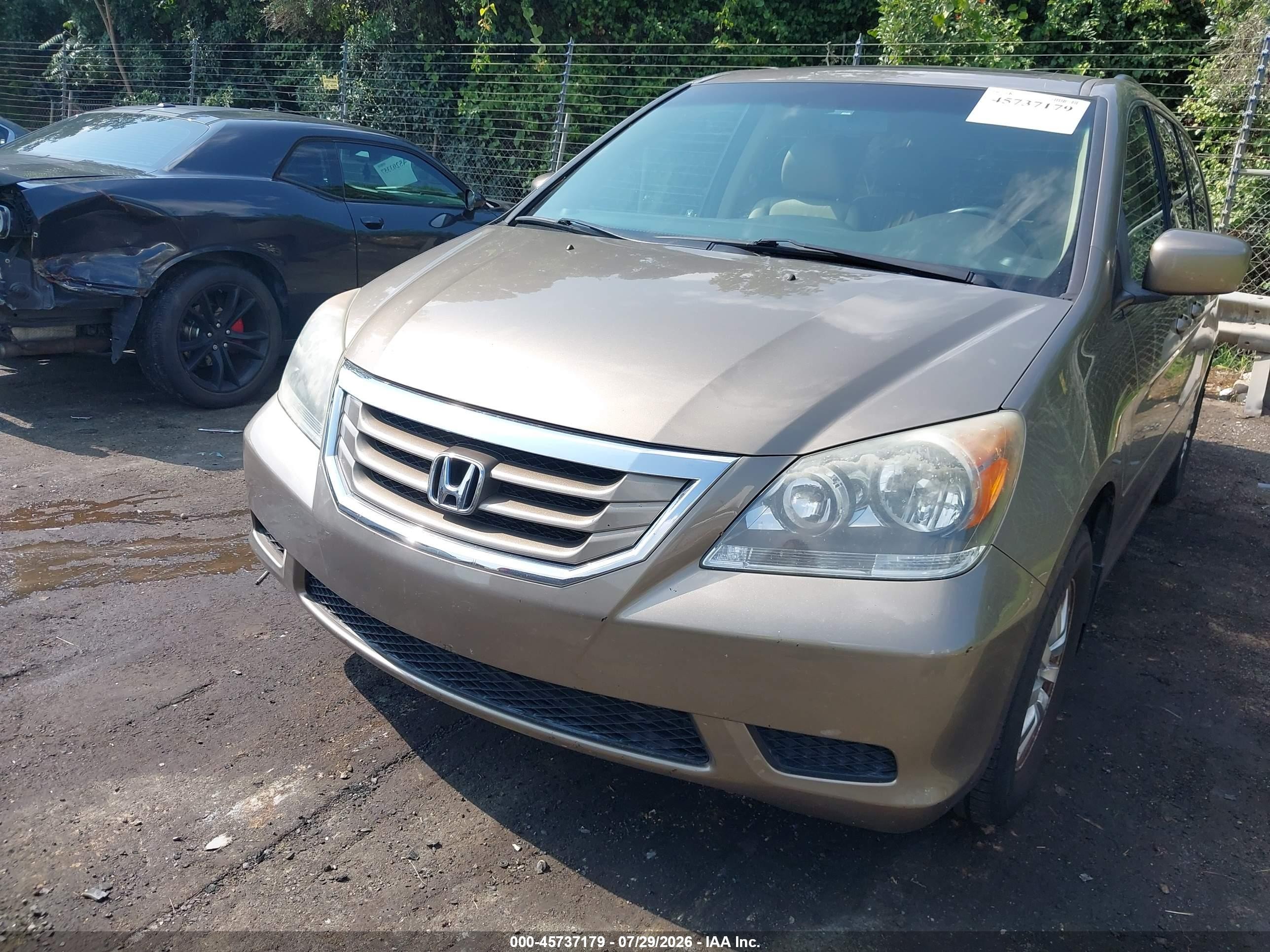 2010 Honda Odyssey Ex-l Золотой vin: 5FNRL3H61AB074538