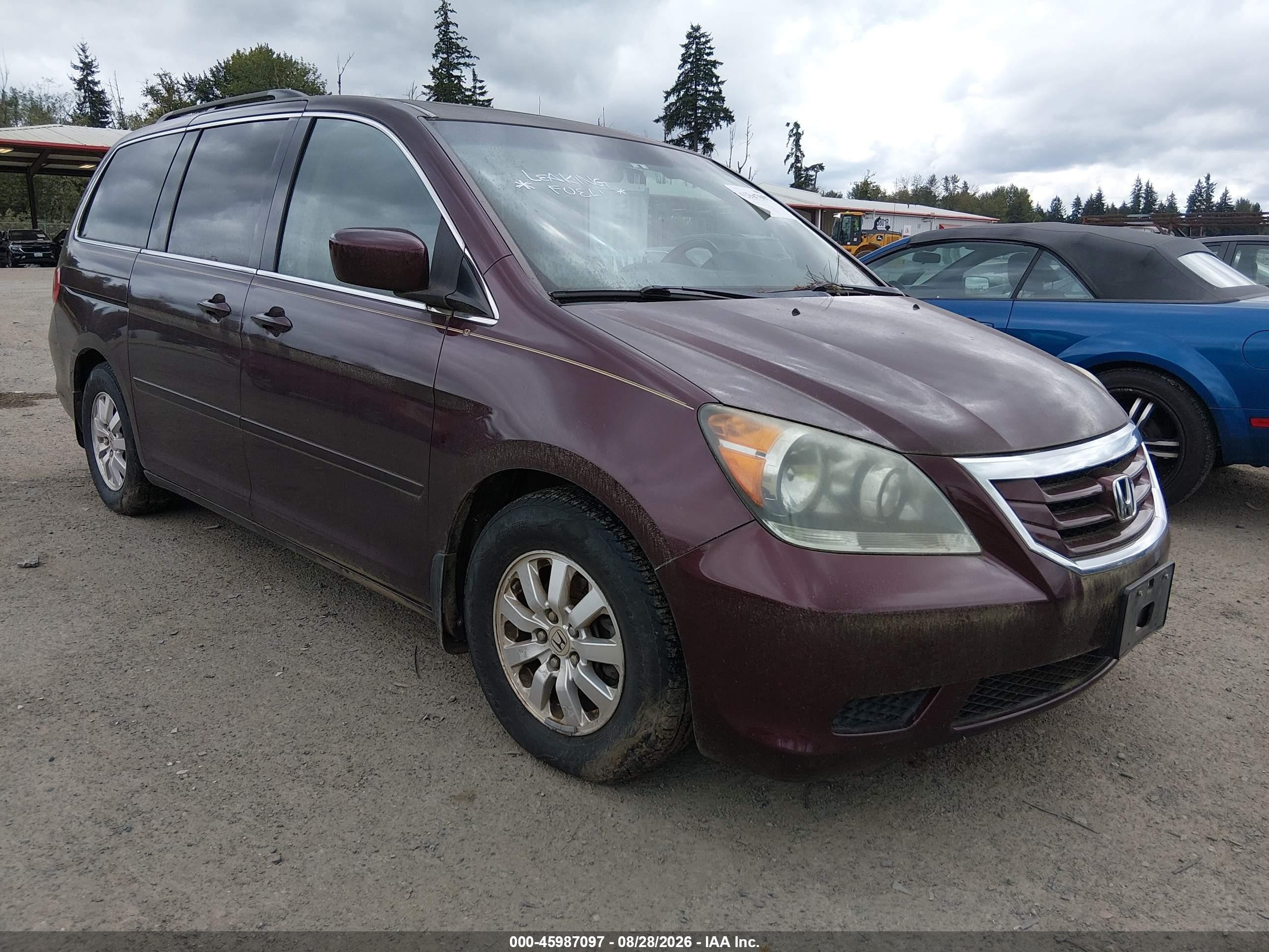 2010 Honda Odyssey Ex-l Maroon vin: 5FNRL3H71AB060681