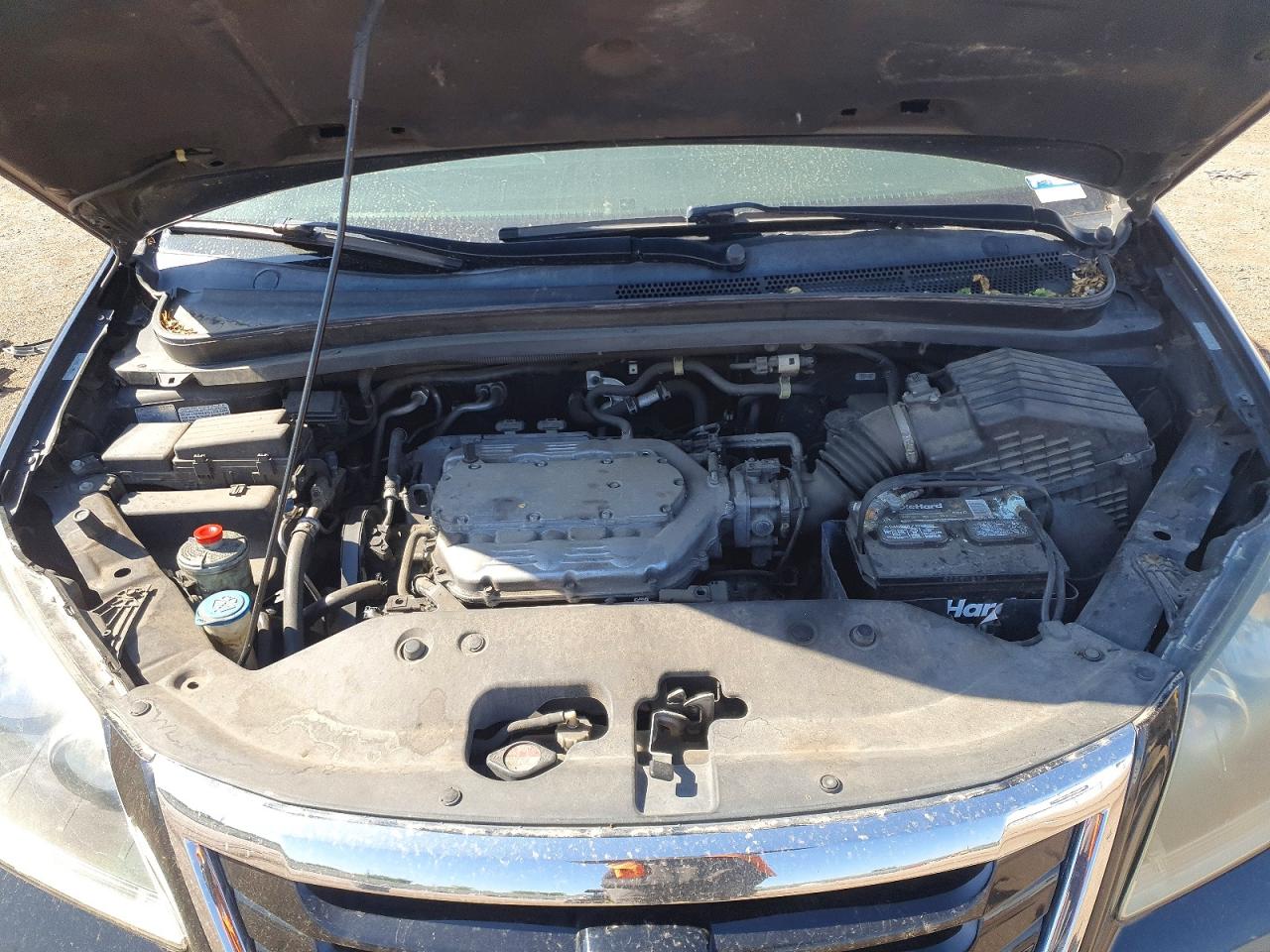 2010 Honda Odyssey Exl Black vin: 5FNRL3H71AB113363