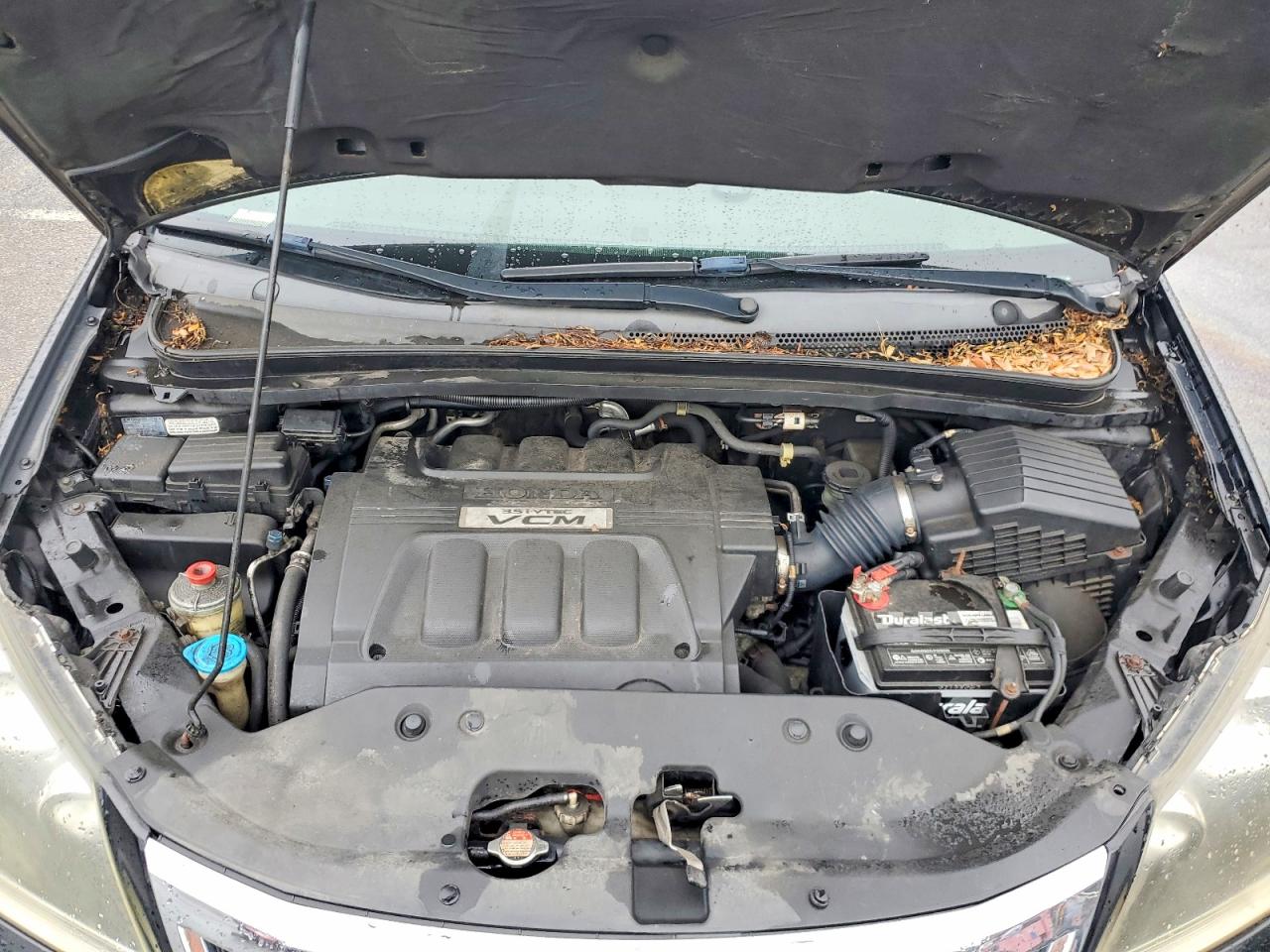 2010 Honda Odyssey Exl Black vin: 5FNRL3H72AB005446