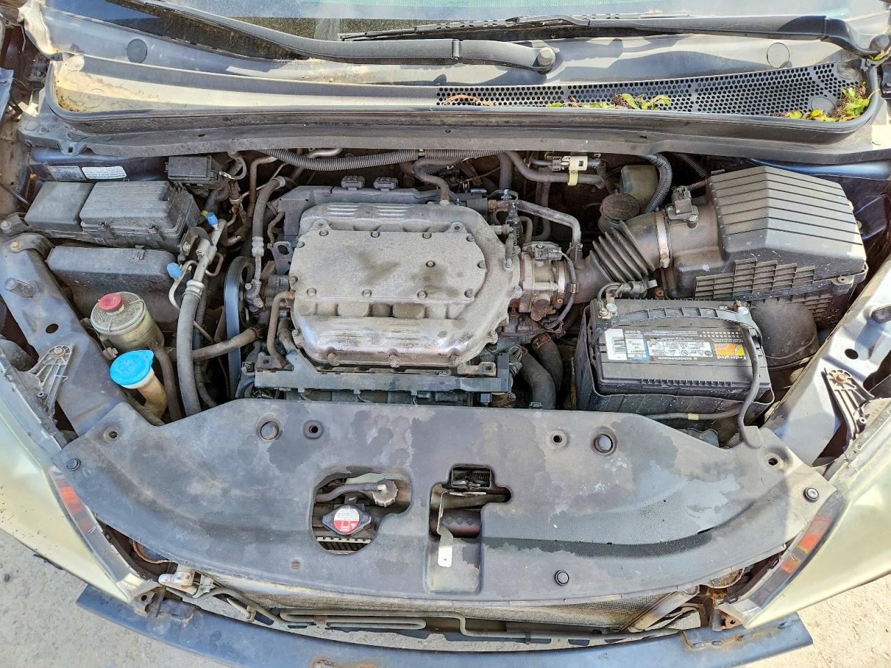 2010 Honda Odyssey Exl Синий vin: 5FNRL3H74AB066152