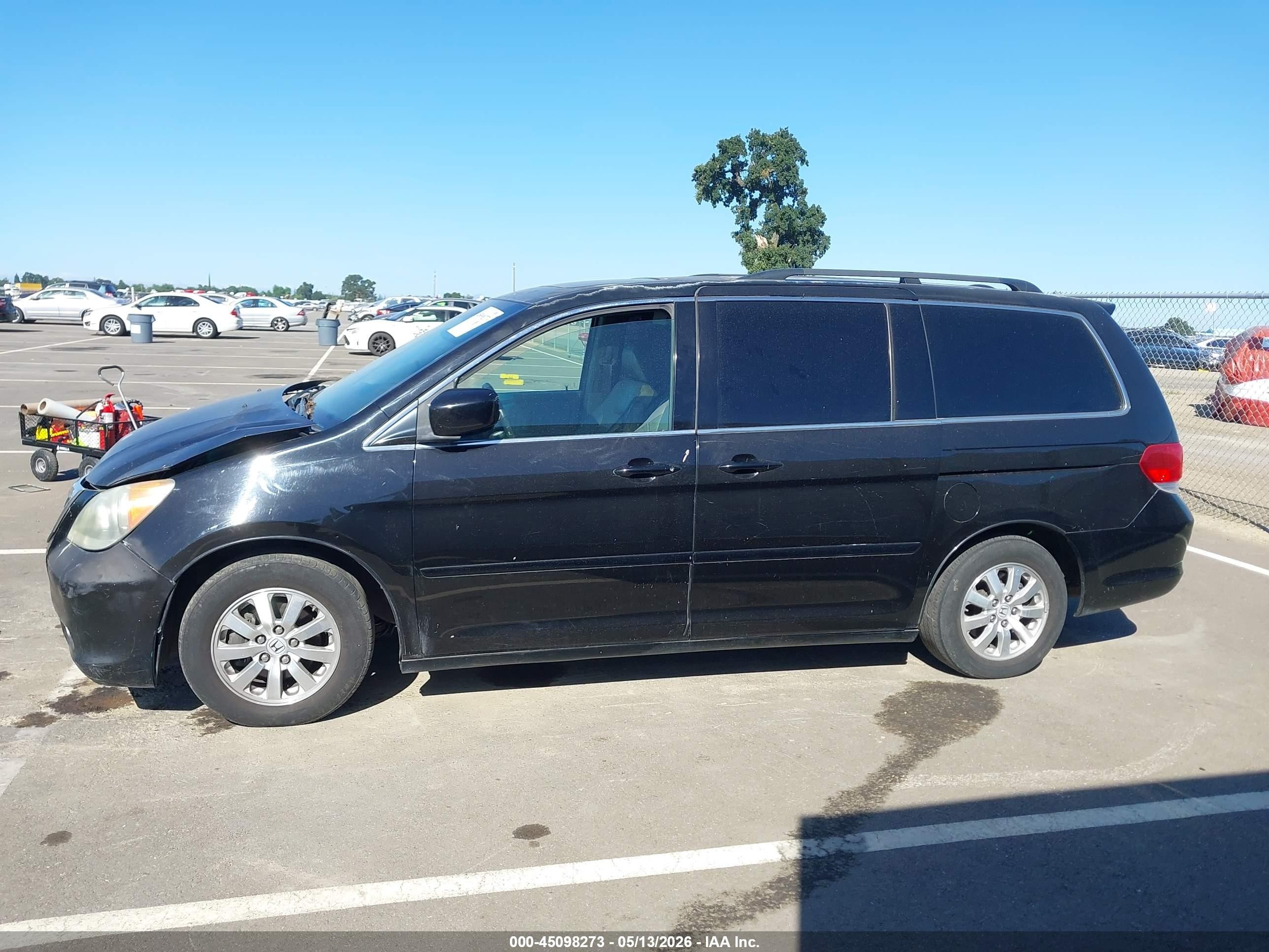 2010 Honda Odyssey Ex-l Black vin: 5FNRL3H75AB086314