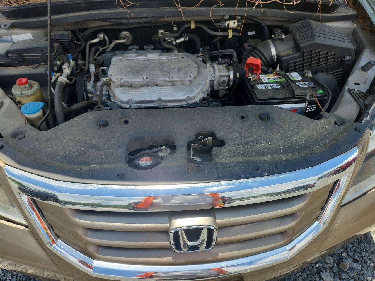 2010 Honda Odyssey Exl Gold vin: 5FNRL3H78AB048043