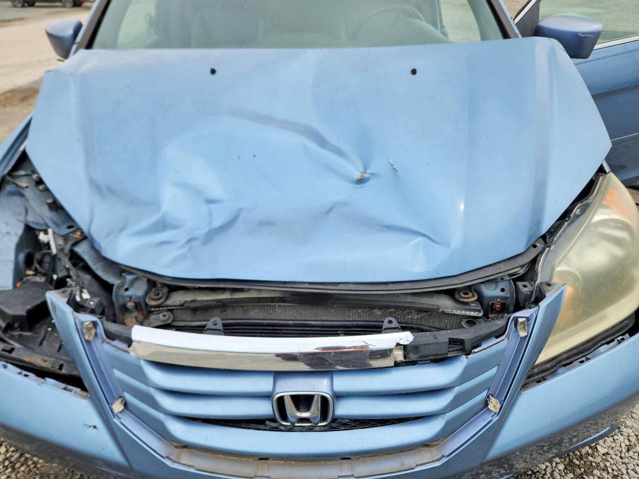 2010 Honda Odyssey Exl Blue vin: 5FNRL3H78AB077168