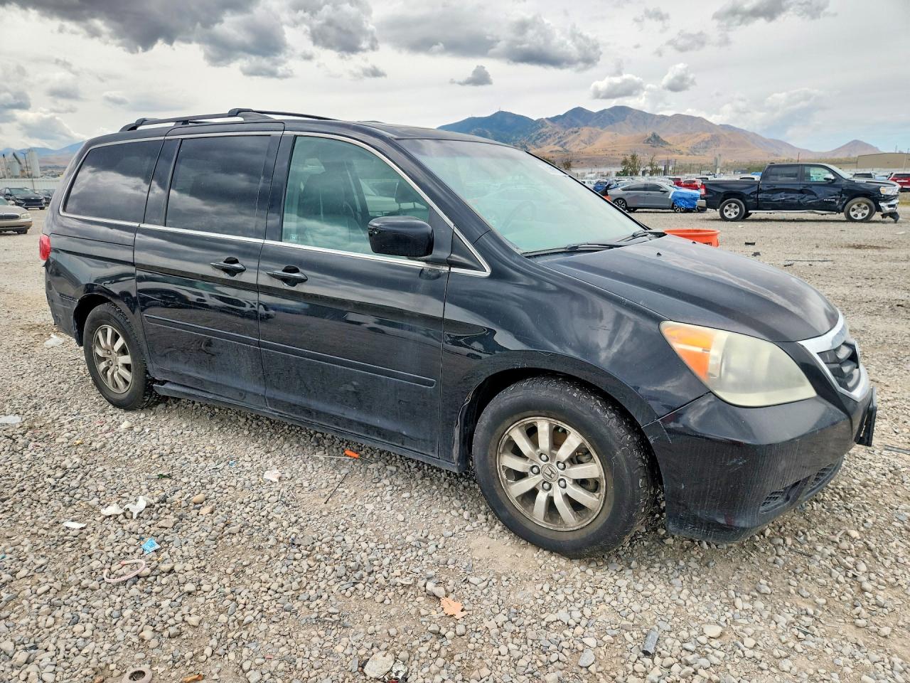 2010 Honda Odyssey Exl Black vin: 5FNRL3H79AB039254