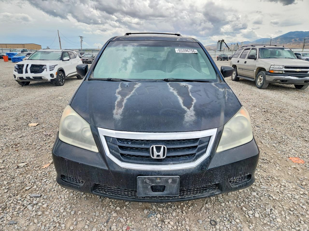 2010 Honda Odyssey Exl Black vin: 5FNRL3H79AB039254