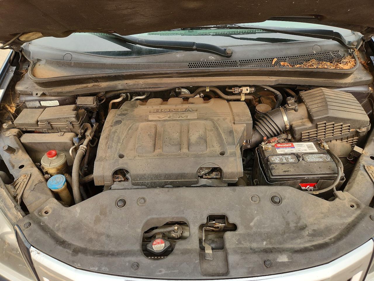 2010 Honda Odyssey Exl Blue vin: 5FNRL3H79AB040985