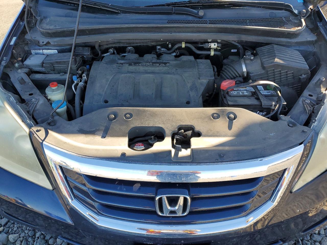 2010 Honda Odyssey Exl Blue vin: 5FNRL3H79AB109187