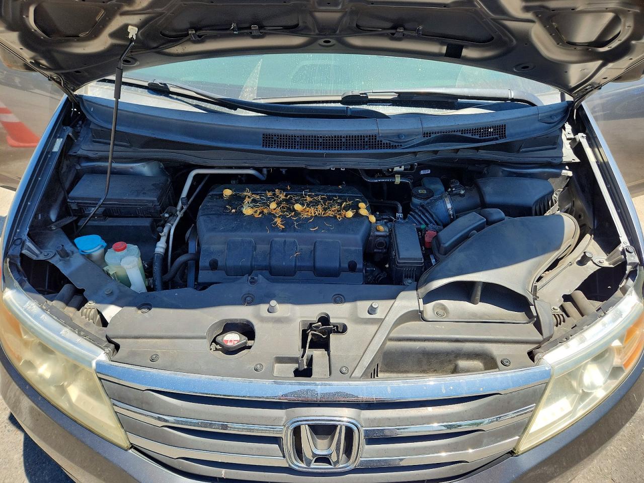 2013 Honda Odyssey Lx Gray vin: 5FNRL5H21DB013848