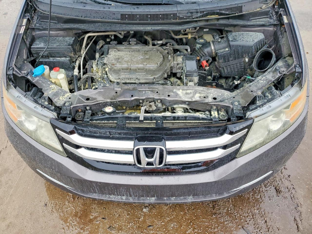 2014 Honda Odyssey Exl Gray vin: 5FNRL5H60EB101276
