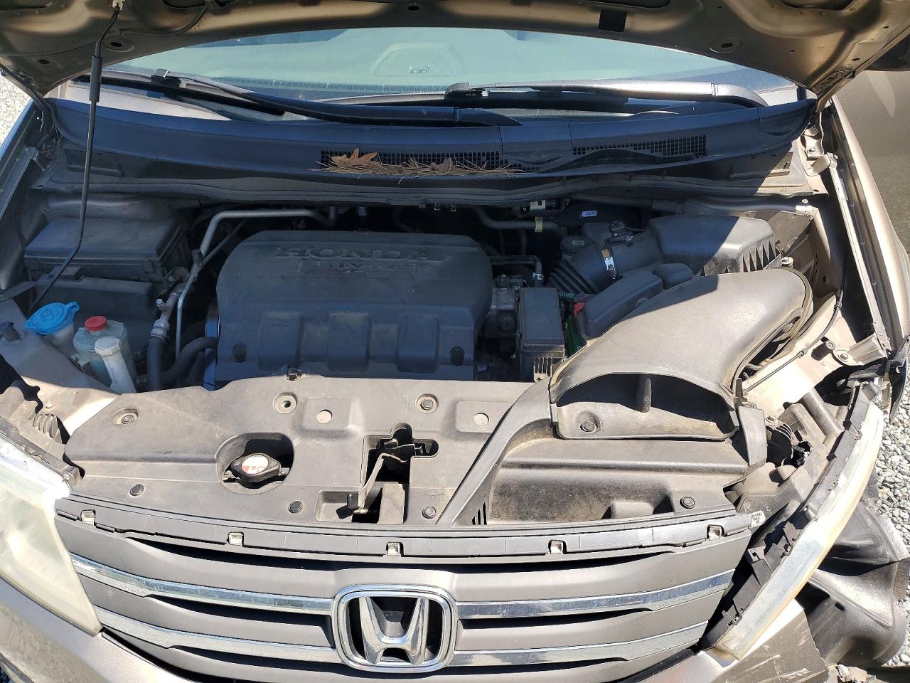 2013 Honda Odyssey Tan vin: 5FNRL5H61DB015697