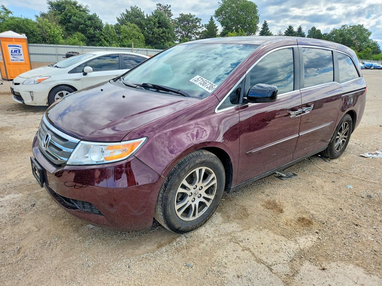 2013 Honda Odyssey Exl Темно-бордовый vin: 5FNRL5H61DB033682