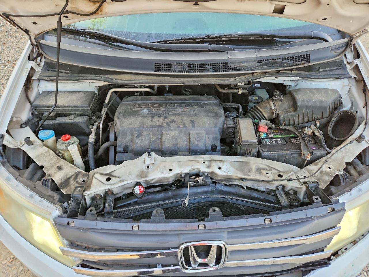 2012 Honda Odyssey Exl Белый vin: 5FNRL5H62CB117444