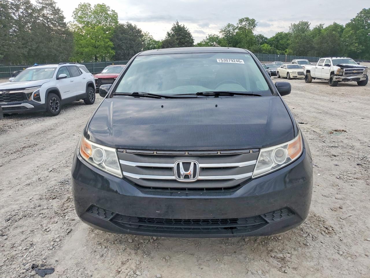 2013 Honda Odyssey Exl Black vin: 5FNRL5H62DB075956