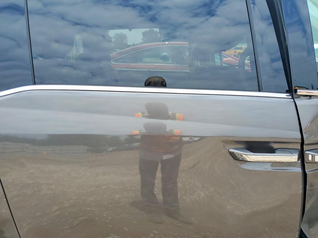 2015 Honda Odyssey Exl Gray vin: 5FNRL5H62FB020054