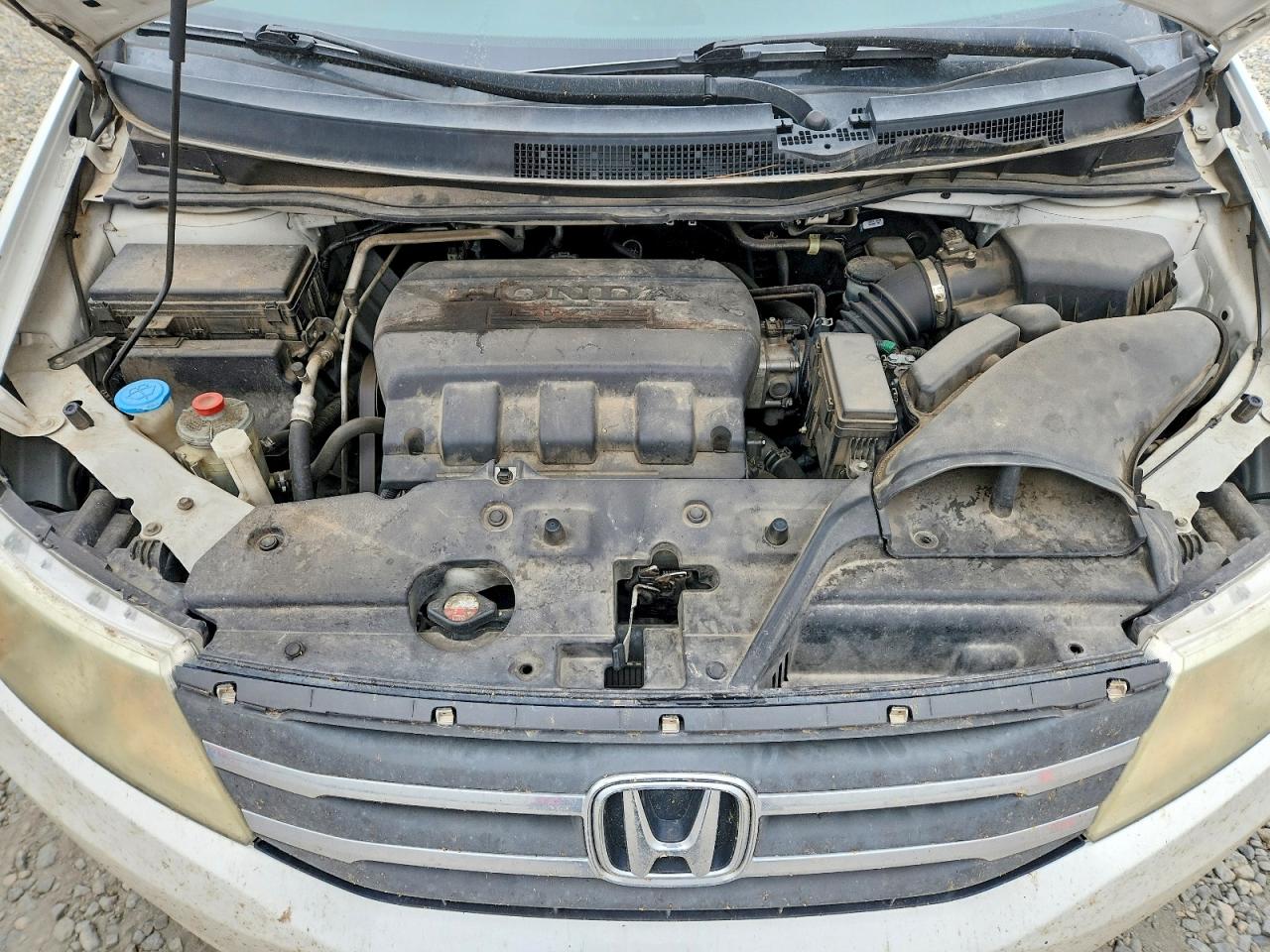 2011 Honda Odyssey Exl White vin: 5FNRL5H63BB032272