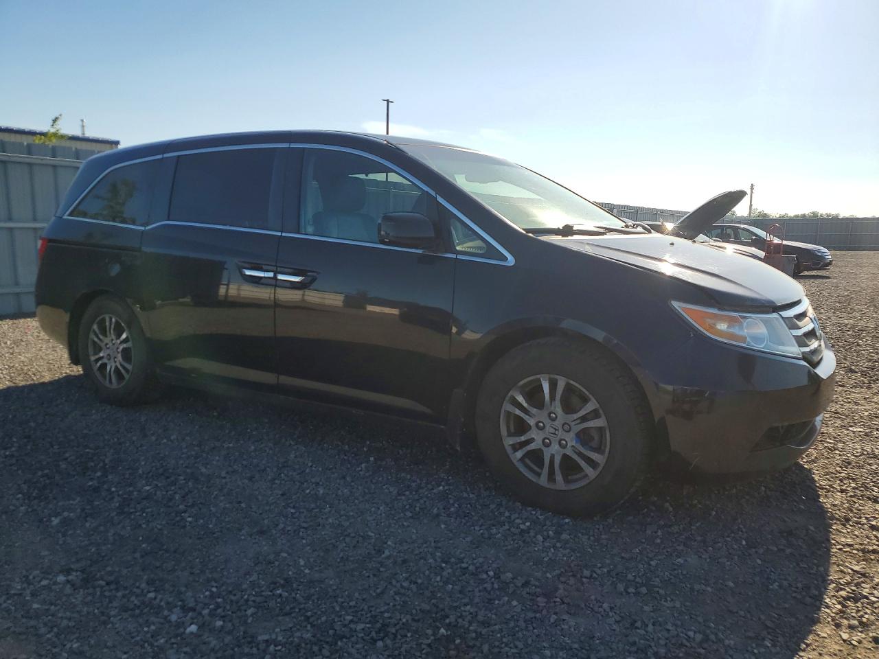 2011 Honda Odyssey Exl Black vin: 5FNRL5H64BB507198