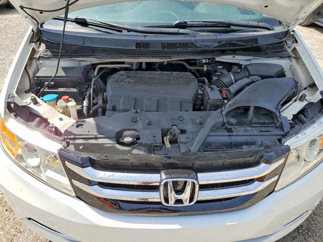 2015 Honda Odyssey Exl White vin: 5FNRL5H64FB073659
