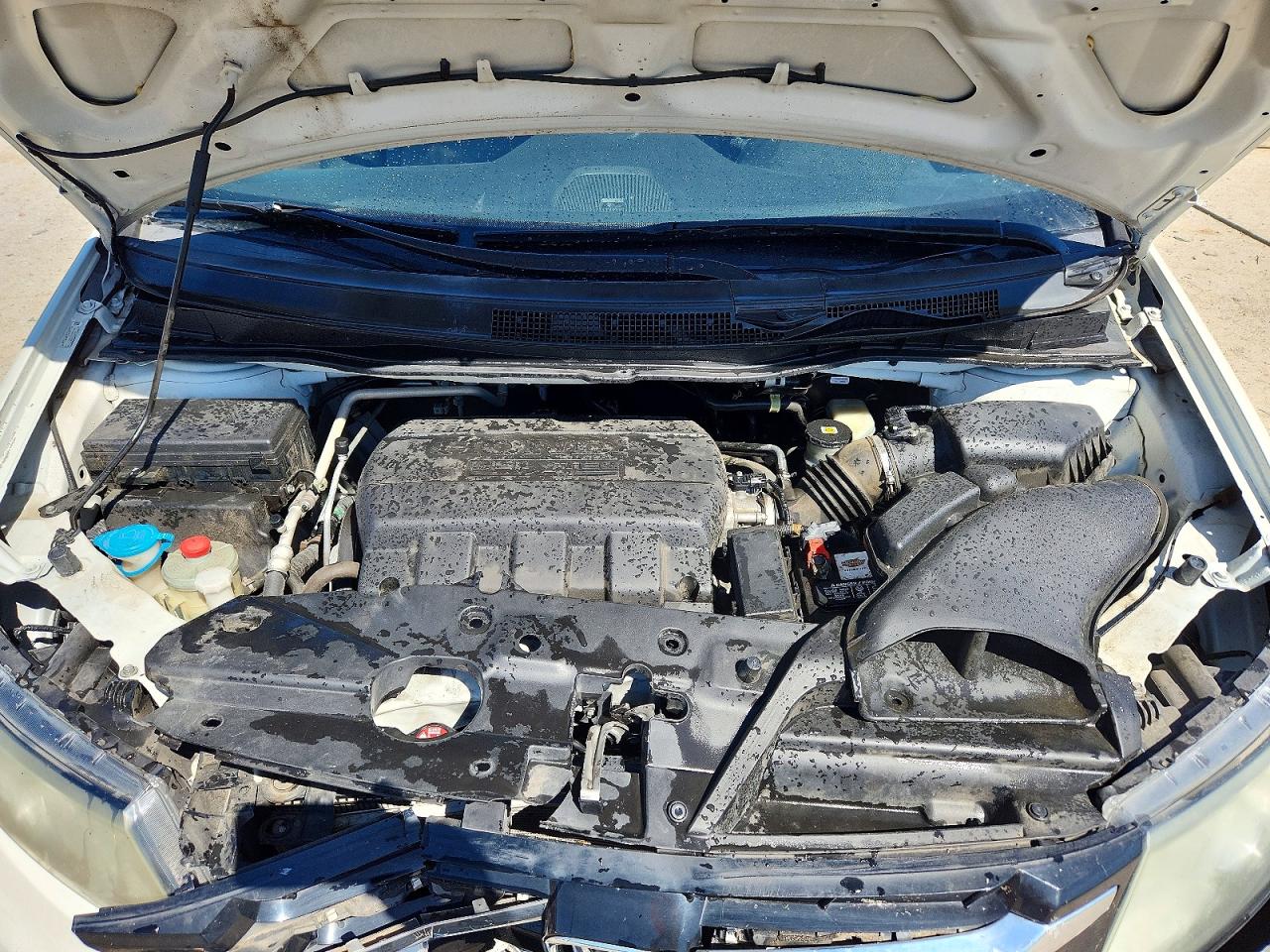 2016 Honda Odyssey Exl Белый vin: 5FNRL5H66GB137279