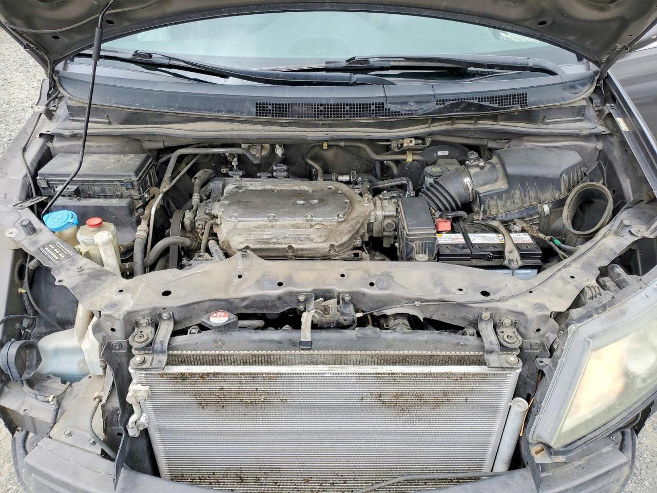 2014 Honda Odyssey Exl Gray vin: 5FNRL5H67EB002602