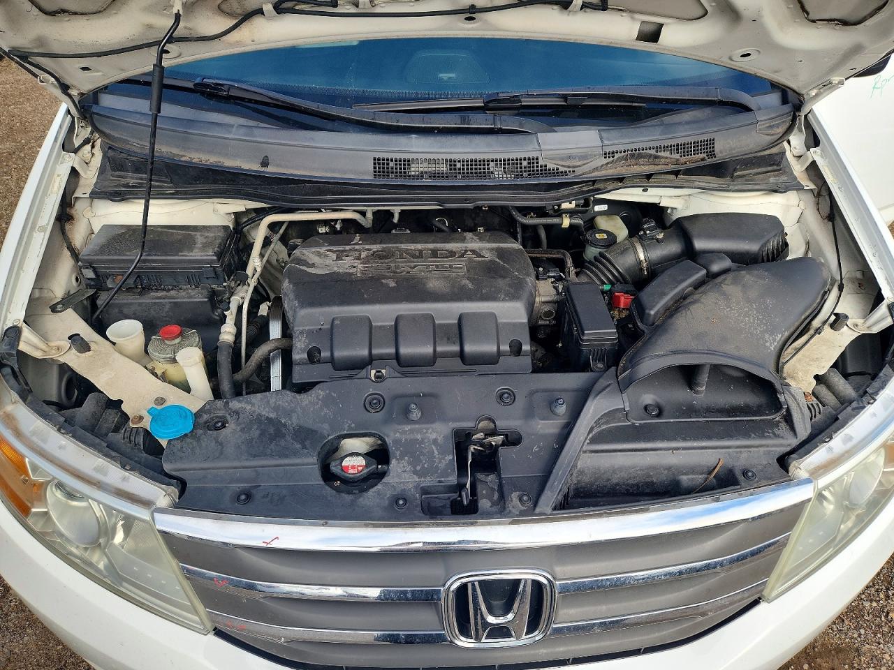 2013 Honda Odyssey Exl White vin: 5FNRL5H68DB053640
