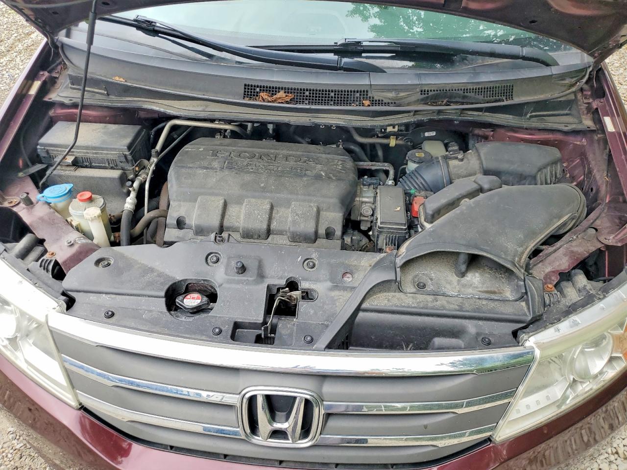 2013 Honda Odyssey Exl Burgundy vin: 5FNRL5H68DB082426