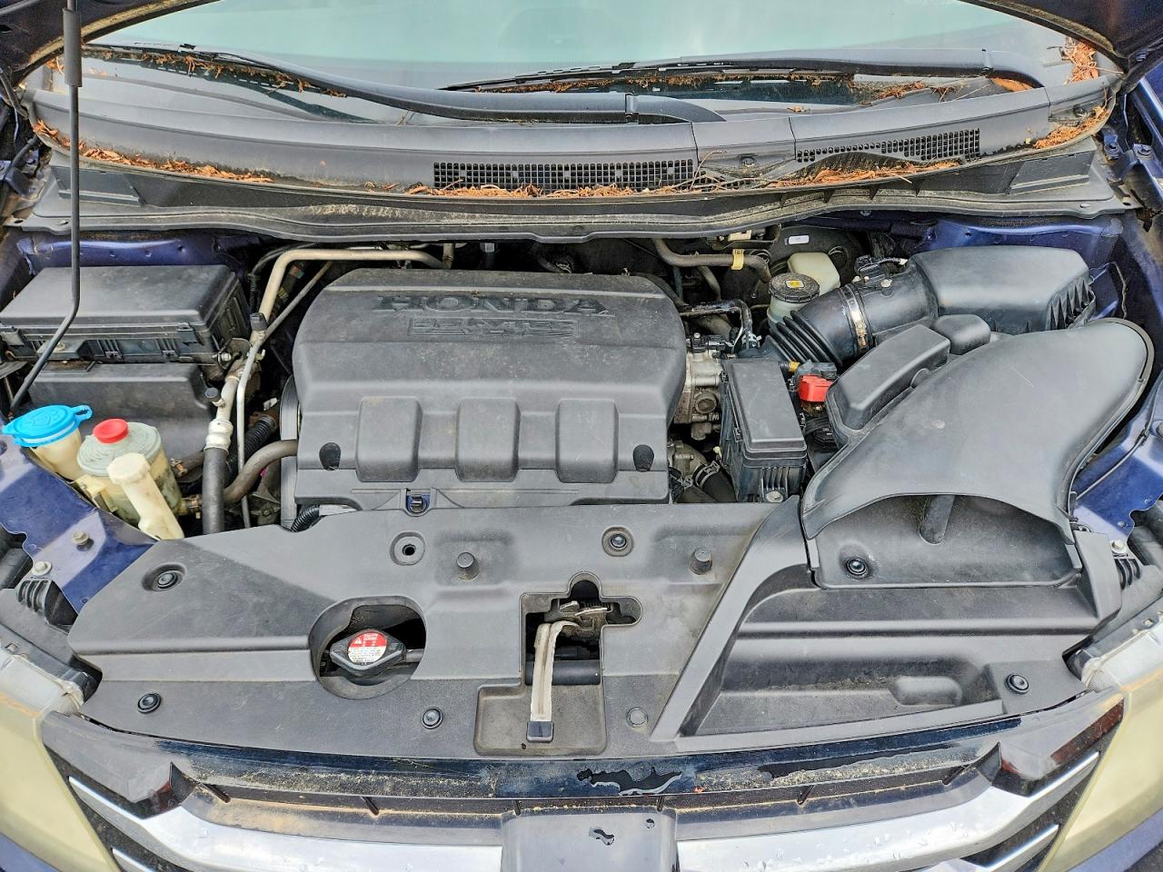 2014 Honda Odyssey Exl Blue vin: 5FNRL5H68EB015312