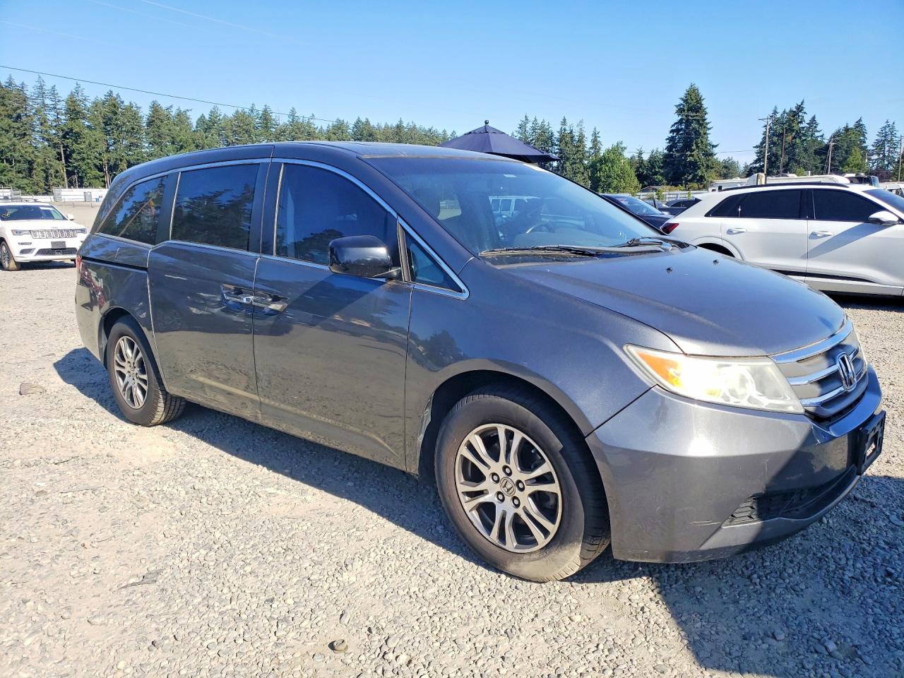2011 Honda Odyssey Exl Gray vin: 5FNRL5H69BB054096