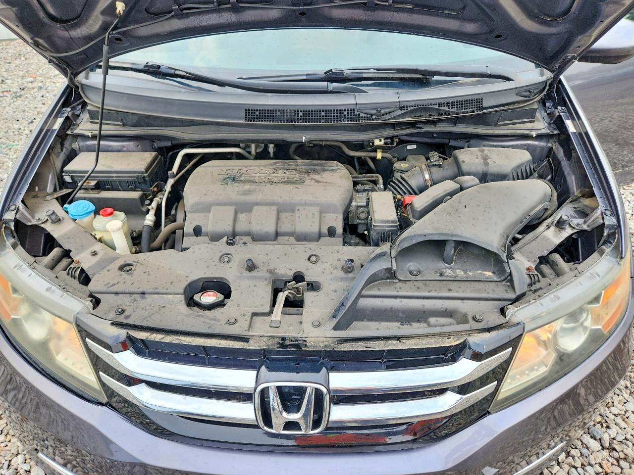 2014 Honda Odyssey Exl Gray vin: 5FNRL5H69EB092481