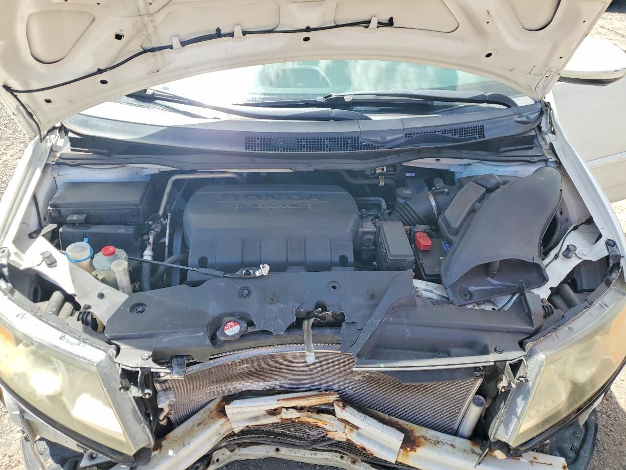 2015 Honda Odyssey Exl White vin: 5FNRL5H69FB073706