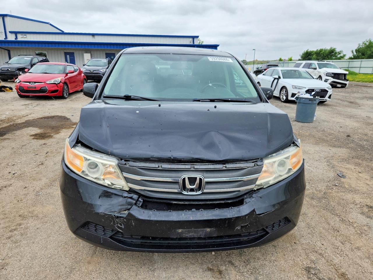 2013 Honda Odyssey Exl Black vin: 5FNRL5H6XDB005265