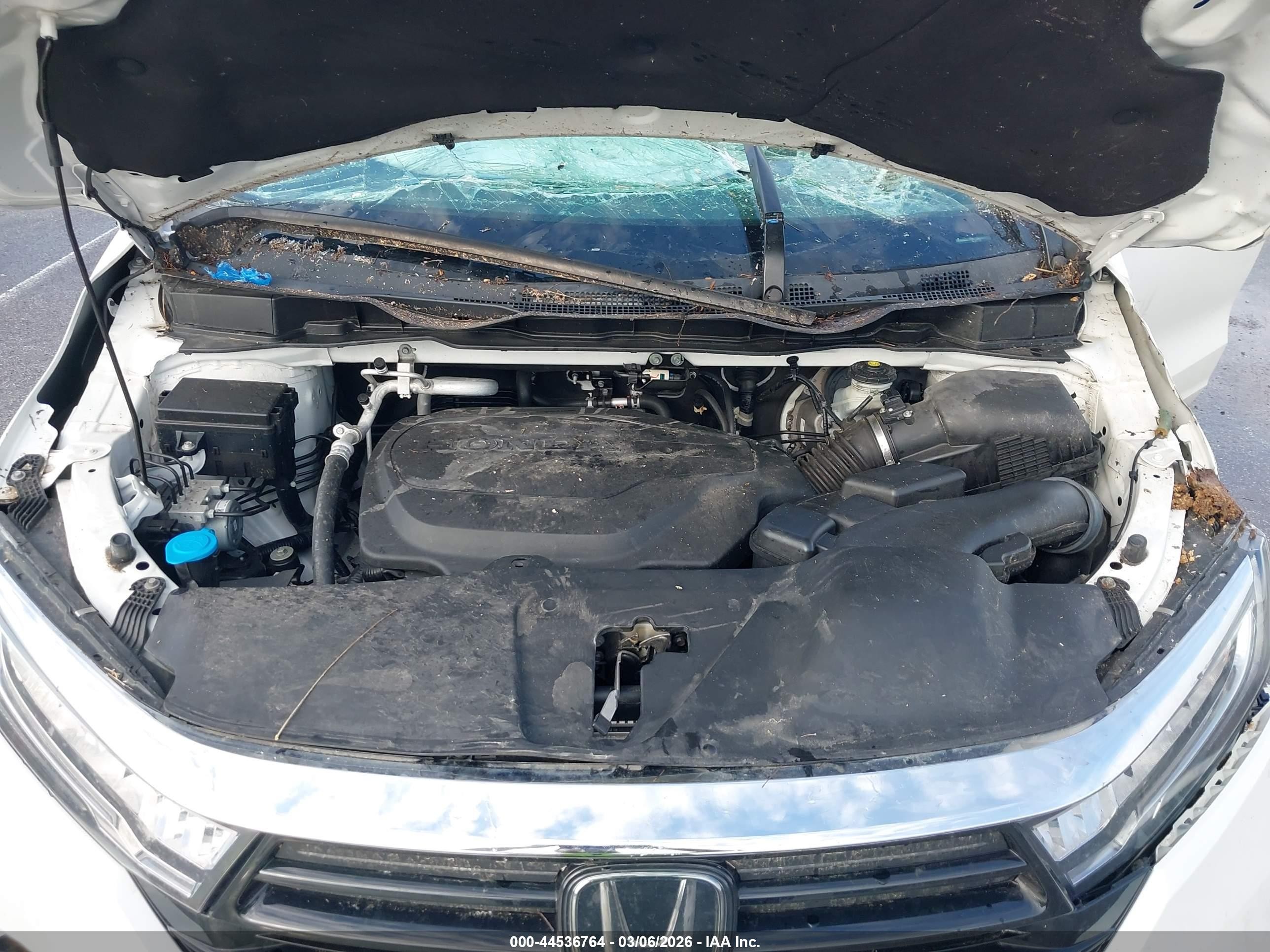 2021 Honda Odyssey Ex White vin: 5FNRL6H59MB031496