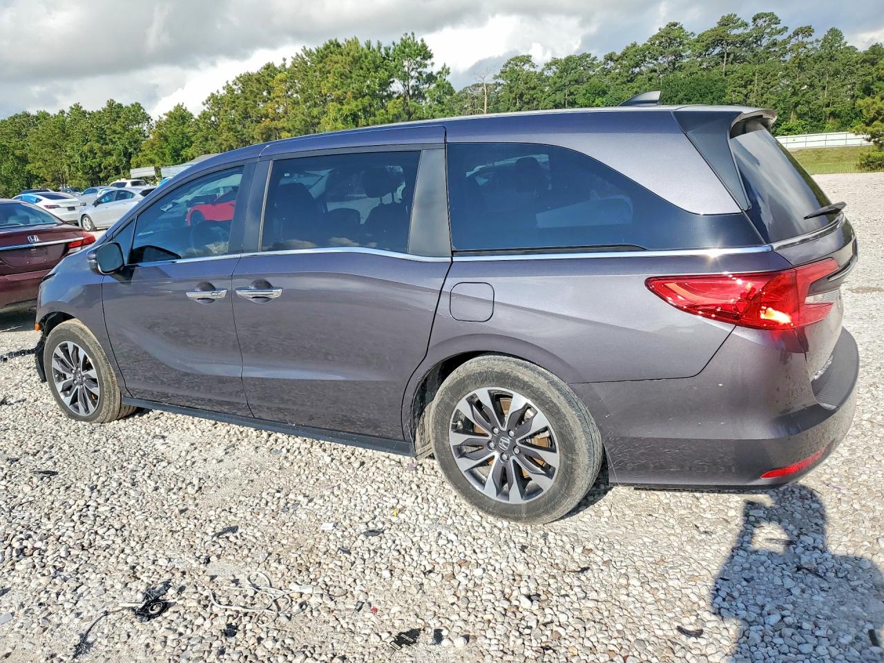 2024 Honda Odyssey Exl Gray vin: 5FNRL6H62RB002809