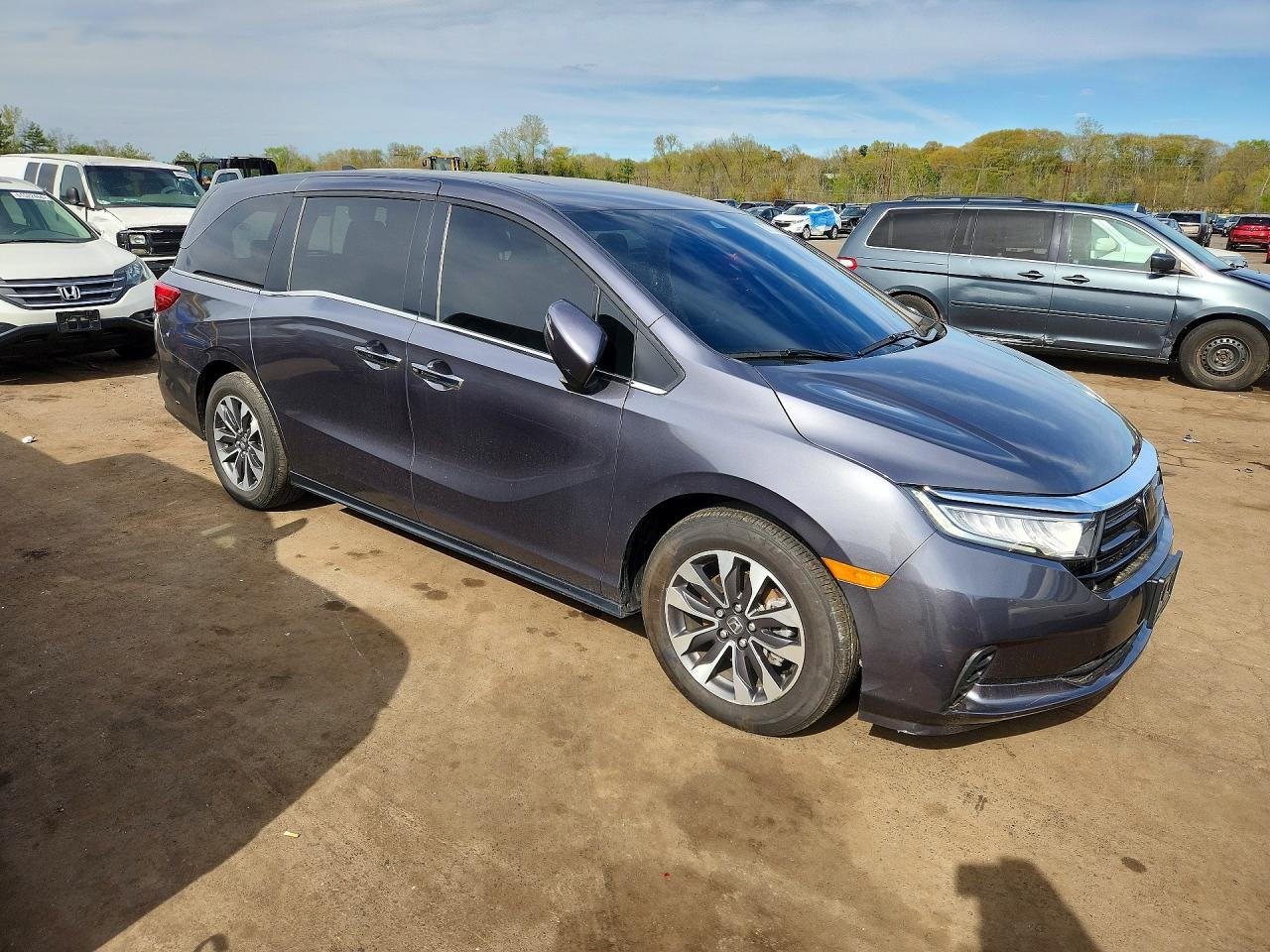 2024 Honda Odyssey Exl Charcoal vin: 5FNRL6H62RB055042