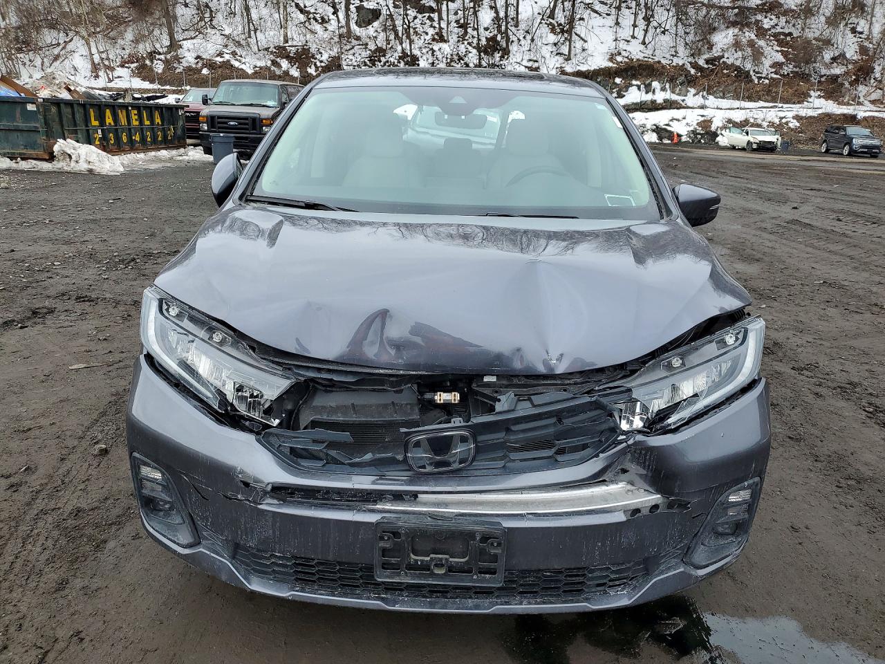 2025 Honda Odyssey Exl Gray vin: 5FNRL6H63SB061681