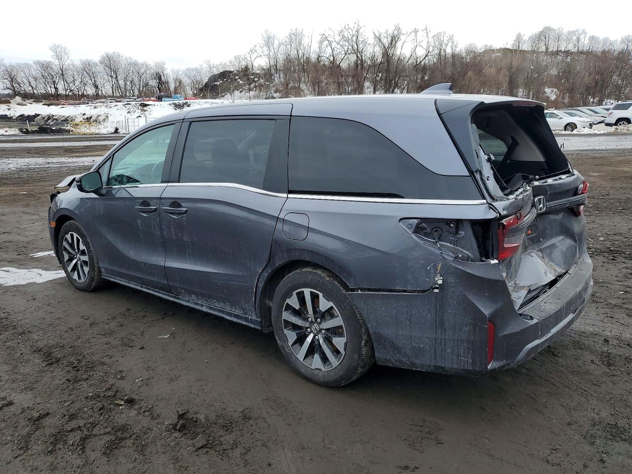 2025 Honda Odyssey Exl Gray vin: 5FNRL6H63SB061681