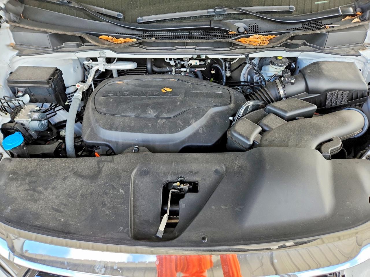 2024 Honda Odyssey Exl Белый vin: 5FNRL6H65RB015053