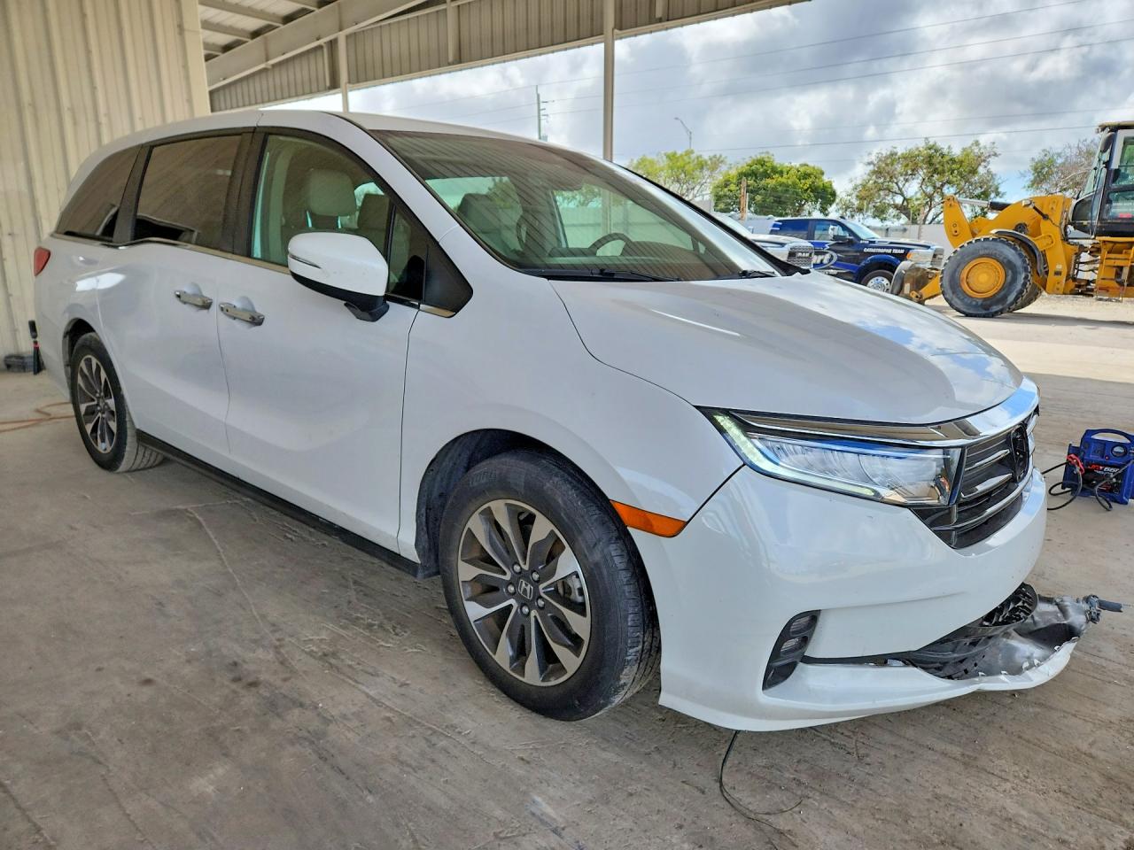 2024 Honda Odyssey Exl Белый vin: 5FNRL6H65RB015053