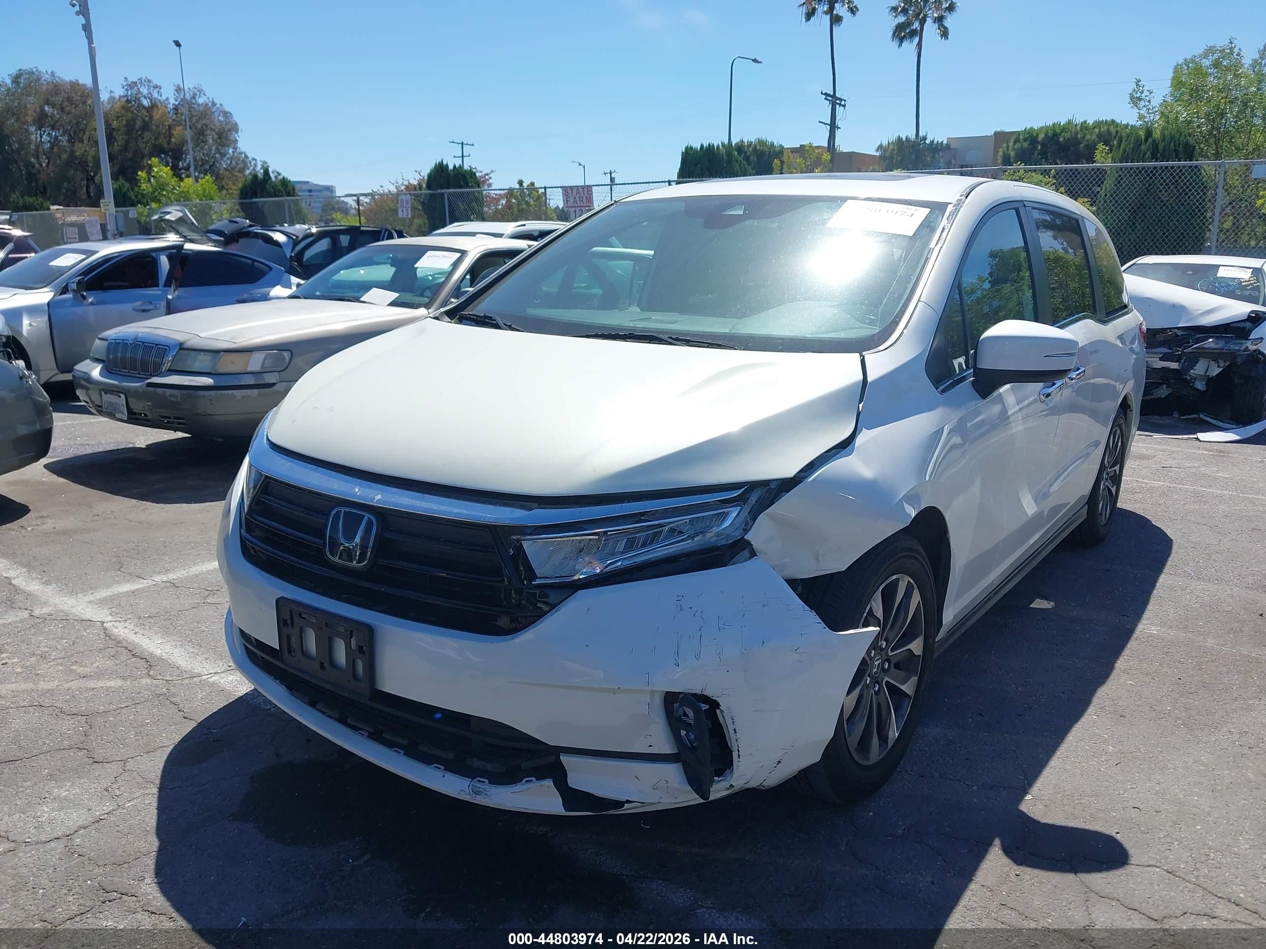 2024 Honda Odyssey Ex-l White vin: 5FNRL6H66RB051558