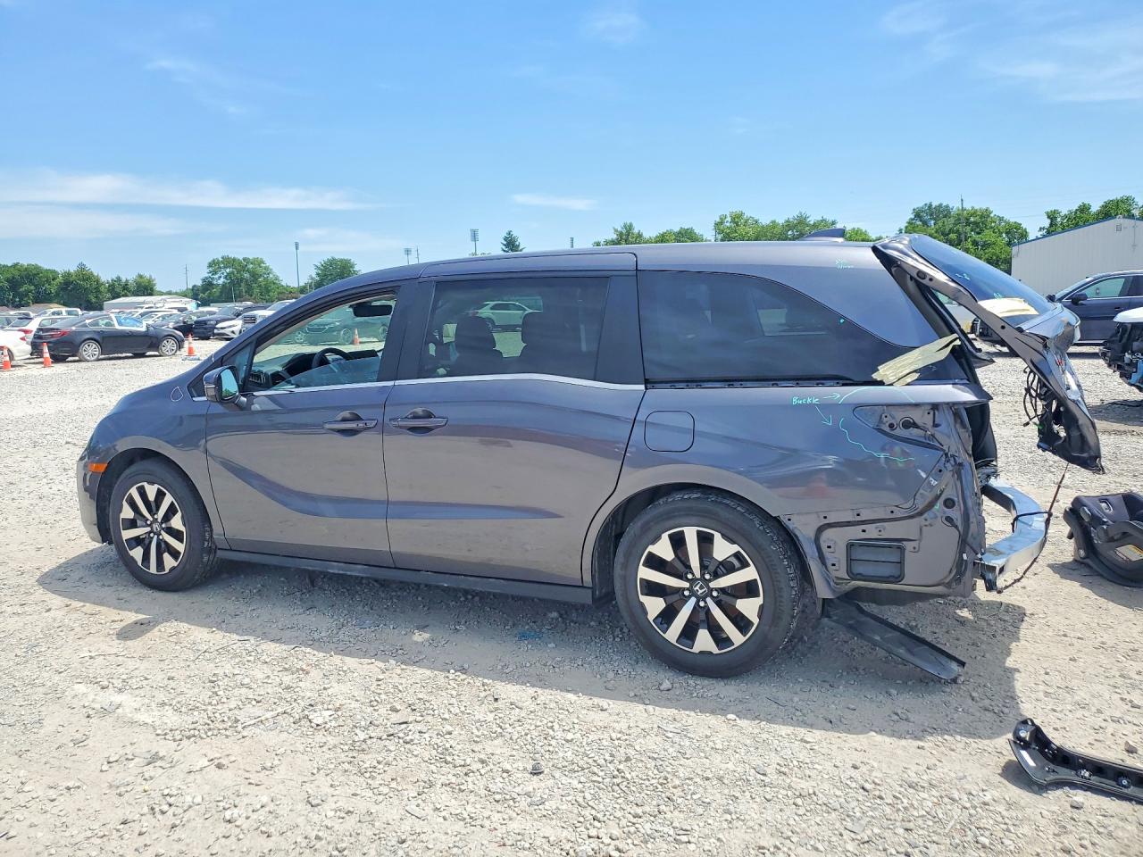 2025 Honda Odyssey Exl Black vin: 5FNRL6H66SB014452