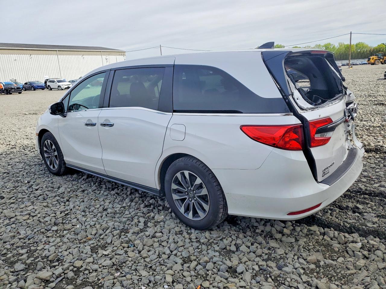 2024 Honda Odyssey Exl White vin: 5FNRL6H69RB064806