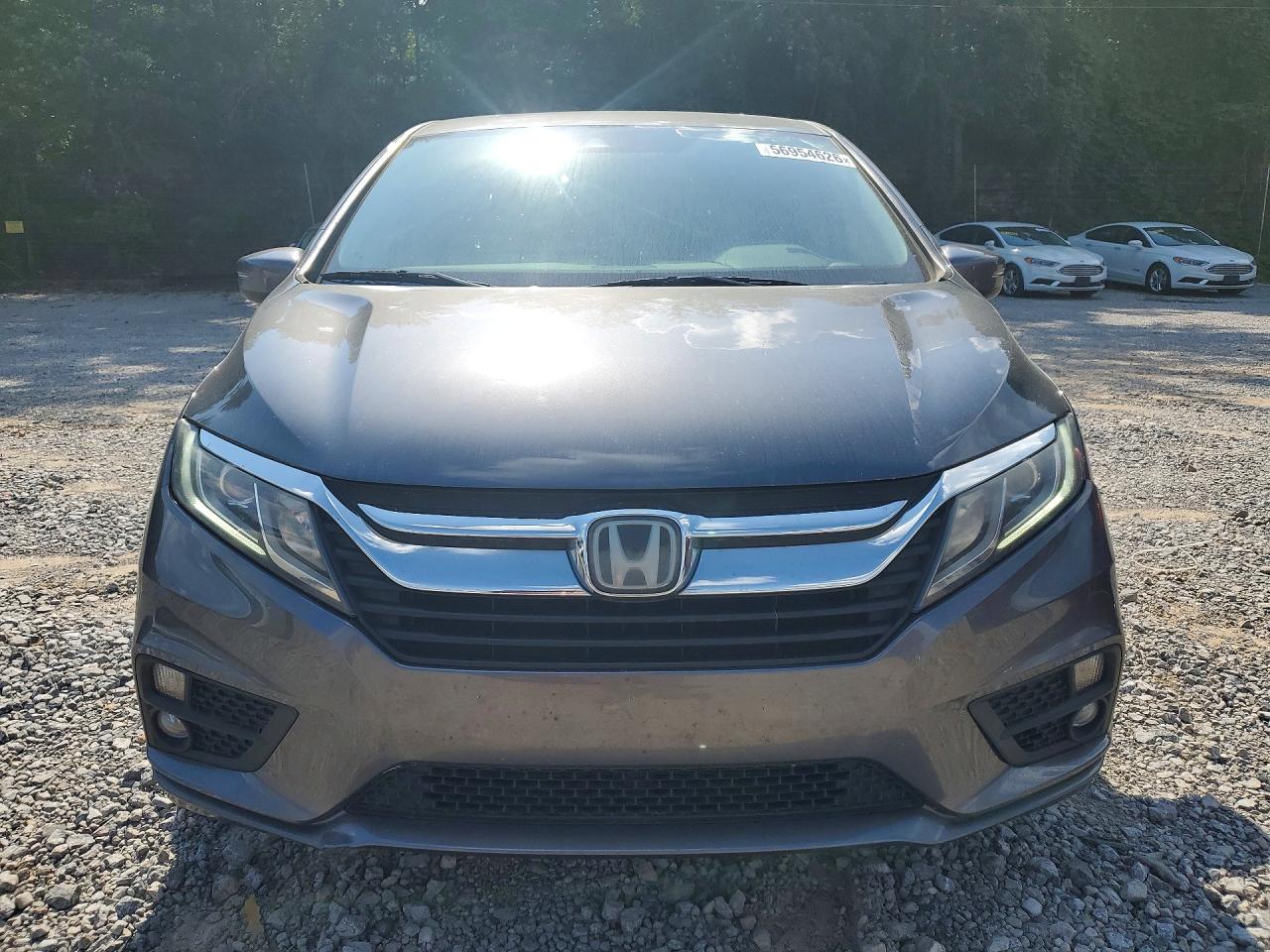 2019 Honda Odyssey Exl Gray vin: 5FNRL6H75KB073596