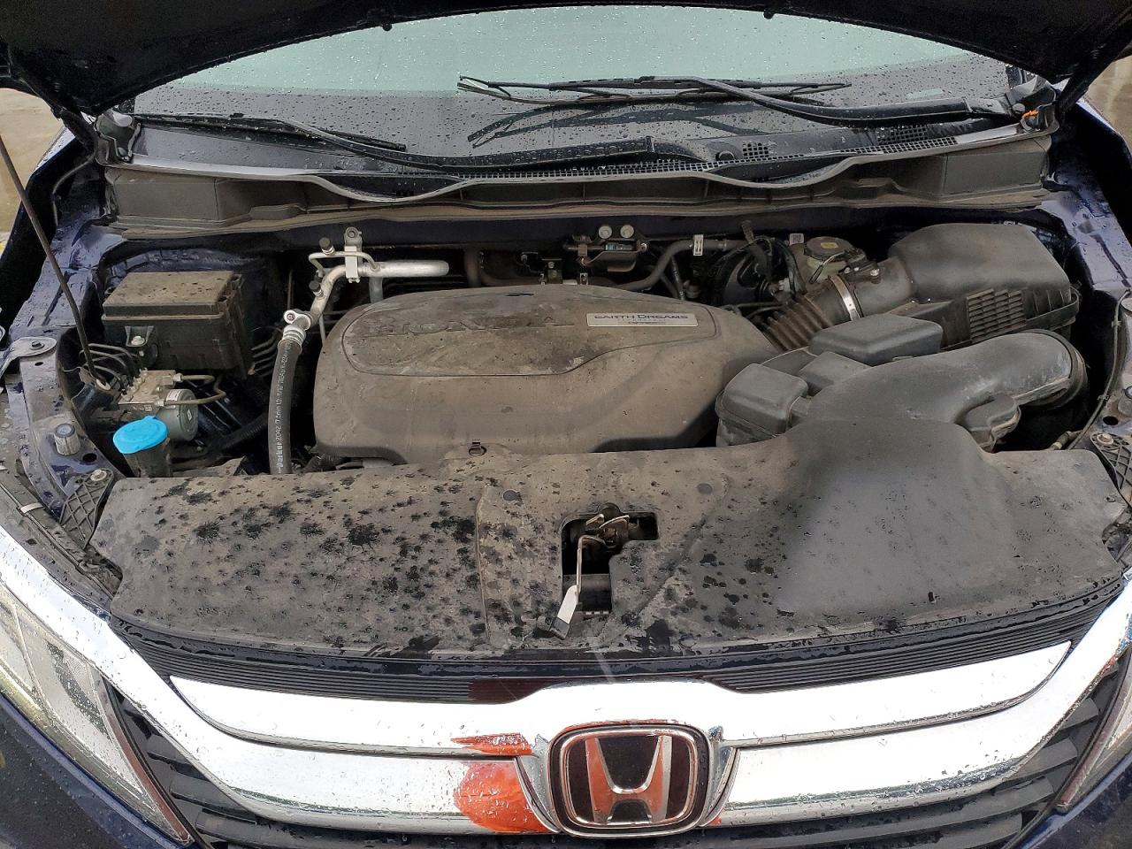 2019 Honda Odyssey Exl Blue vin: 5FNRL6H77KB027526