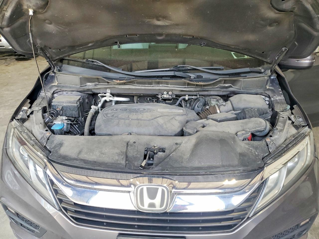 2018 Honda Odyssey Exl Gray vin: 5FNRL6H78JB102071