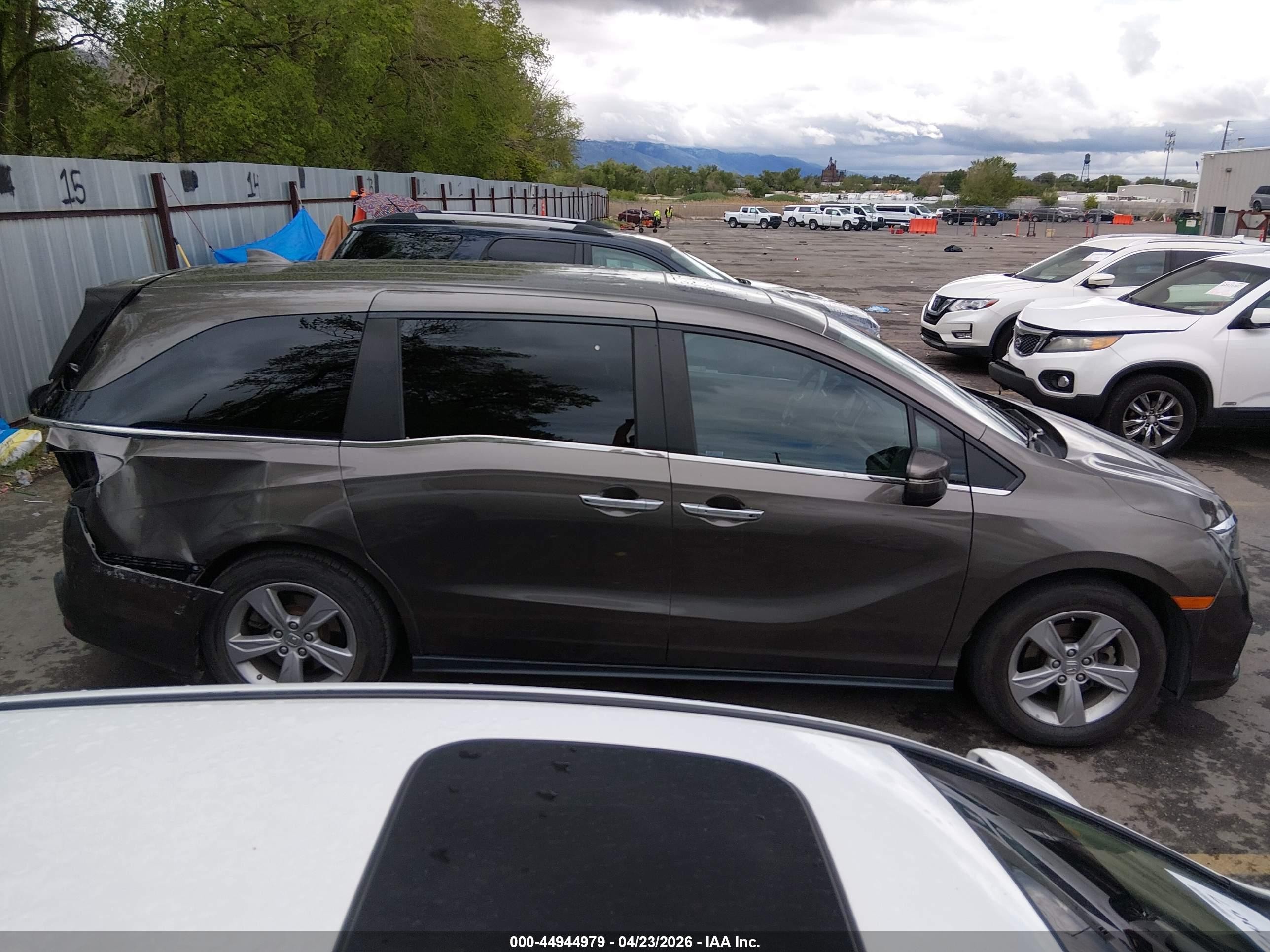 2019 Honda Odyssey Ex-l Коричневый vin: 5FNRL6H7XKB066983