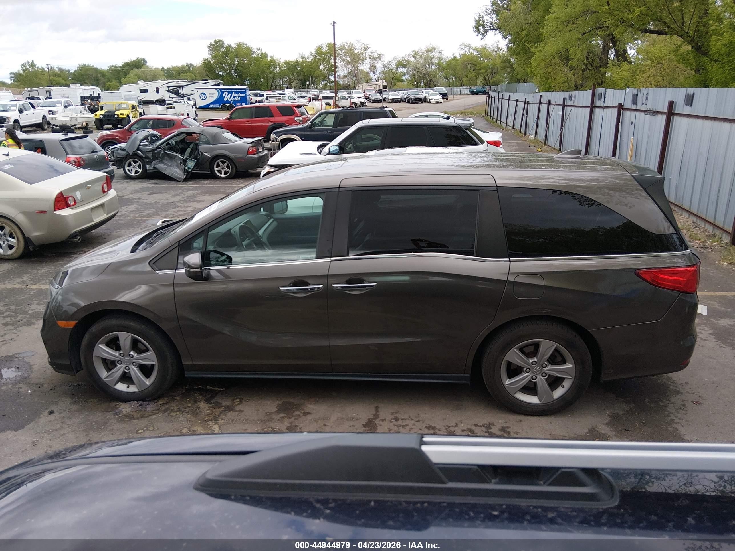 2019 Honda Odyssey Ex-l Коричневый vin: 5FNRL6H7XKB066983
