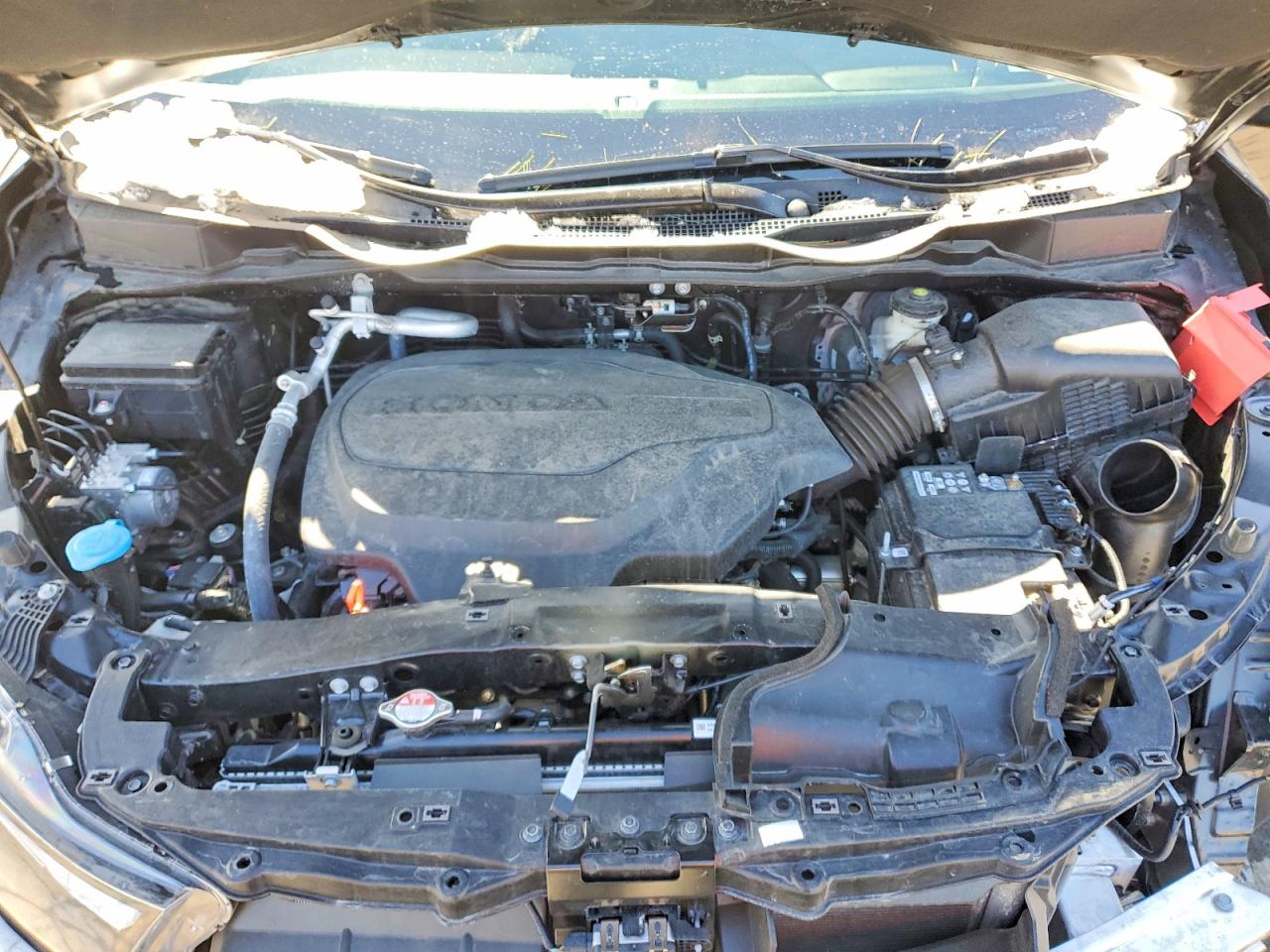 2025 Honda Odyssey Elite Черный vin: 5FNRL6H90SB061485